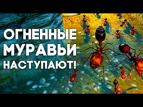 Видео: ОГНЕННЫЕ МУРАВЬИ в Empires of the undergrowth! Тестим бета-режим. Прохождение #2 \\ Димон и пумба