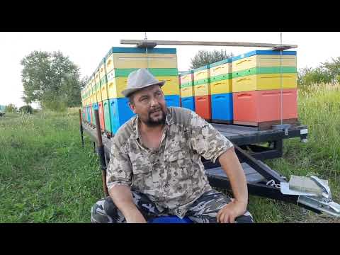 Видео: Лучше Гор Только Горы!!!