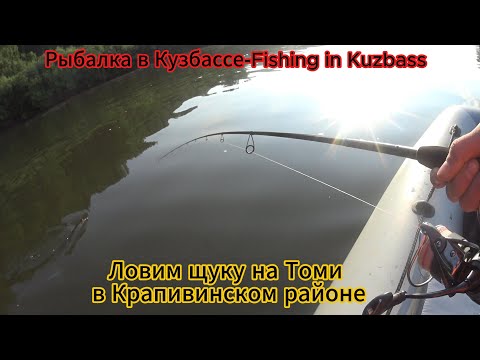 Видео: Рыбалка с лодки на реке Томь. От Банново до Зеленогорска.