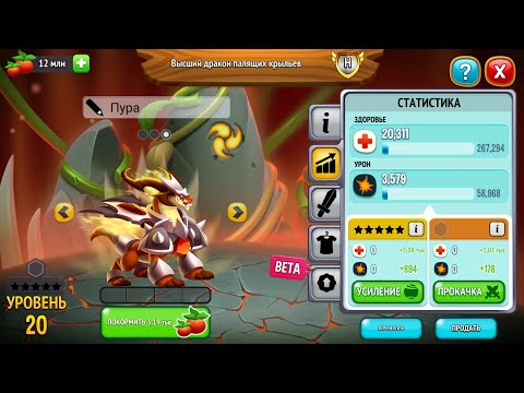 Видео: Долго Не заходил в Драгон Сити и Выпал Наивысший дракон