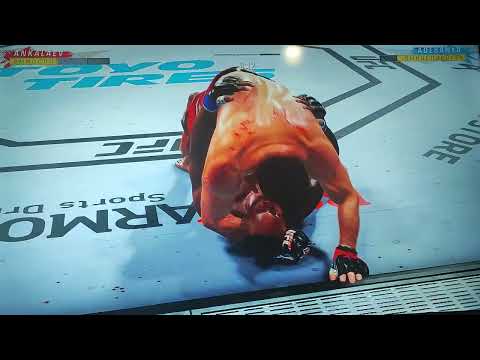 Видео: Анкалаев против адесаньи UFC 4