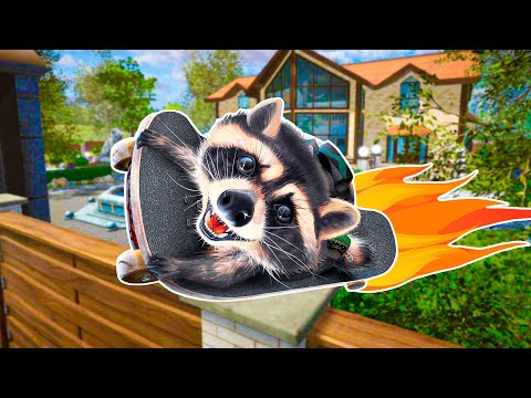 Видео: Я ЕНОТ 🦝