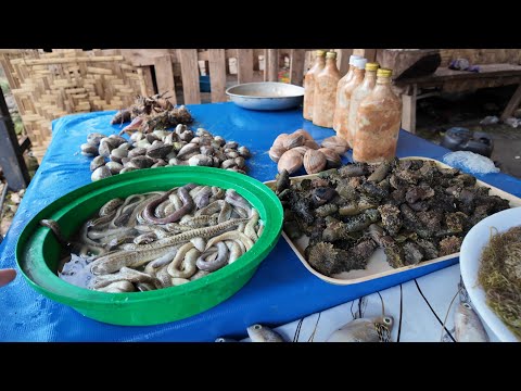 Видео: День нетуристического Панглао. Вечер на Филиппинах