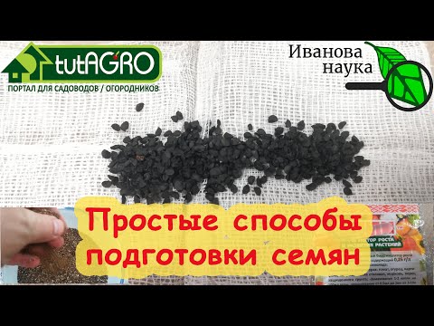 Видео: ТАК РАССАДА НЕ УПАДЕТ! Сеем семена лука и других растений на сильные всходы и богатый урожай.