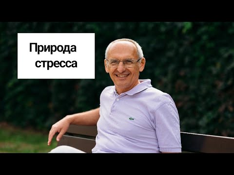 Видео: Природа стресса