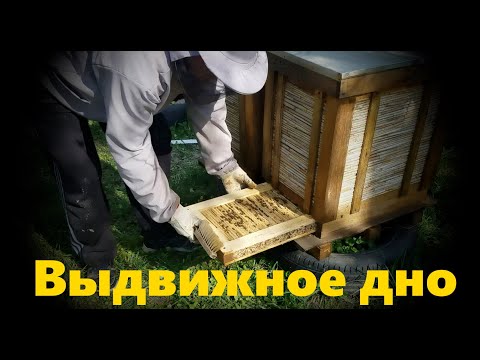 Видео: ДНО ДЛЯ УЛЬЯ ИЗ КАМЫША