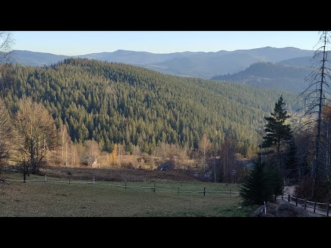 Видео: Природа Яремче, прогулка по горам, красивые виды