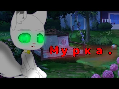 Видео: | Мурка. | гача страшилка | Gacha | тгк в описании. |