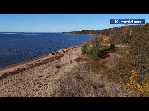 Видео: Тарховский лесопарк в Сестрорецке получил официальный статус заказника