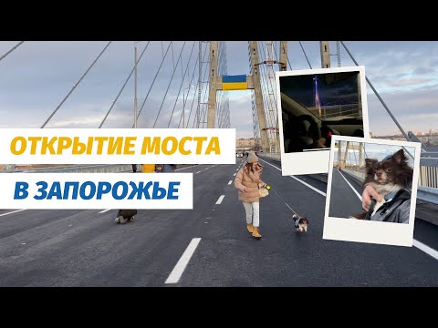 Видео: ЗАПОРОЖСКИЙ ВАНТОВЫЙ МОСТ ОТКРЫТИЕ В 4К | Едем первыми и гуляем пешком | Первый чихуахуа на мосту