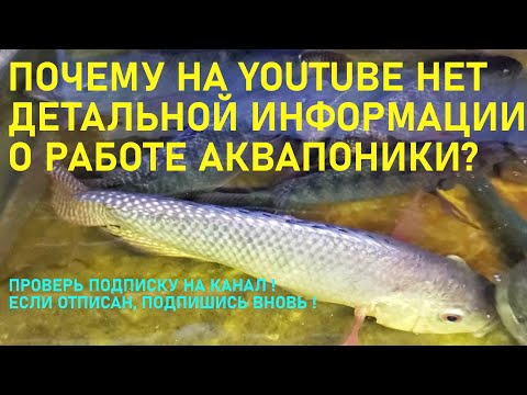 Видео: Есть в негласный запрет на освещение тематики аквапоника?, YouTube стал отписывать подписчиков