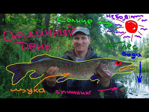 Видео: Семейная рыбалка