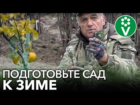 Видео: НЕ ЗАБУДЬТЕ СДЕЛАТЬ ЭТИ РАБОТЫ В САДУ В НОЯБРЕ!