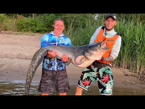 Видео: открытие сезона по сому 🥳🔥         монстр глубины #сом  50+