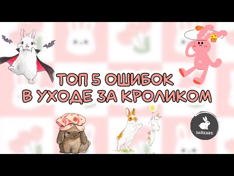 Видео: Топ 5 ошибок в содержании кролика: не делай так!