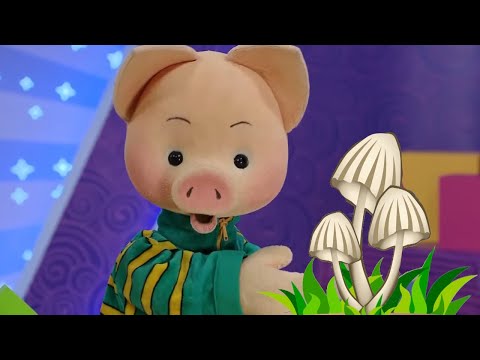 Видео: ✨СПОКОЙНОЙ НОЧИ, МАЛЫШИ!✨ Грибы-притворщики + мультфильм Юху и его друзья