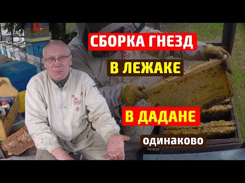 Видео: Сборка гнезда пчел на зиму Лежак, дадан без разницы