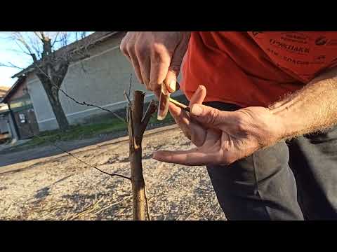 Видео: Подкарваме Ашладисването, че времето и живота не чакат! Успехи през 2023г. 💞