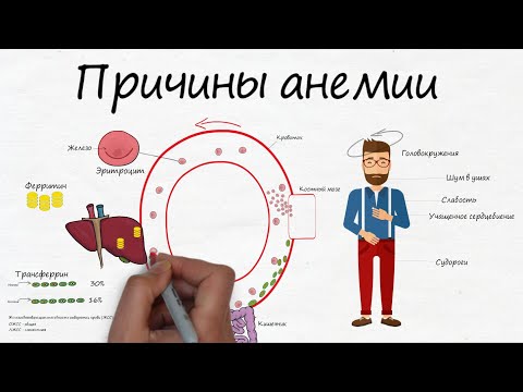 Видео: Анемия. Когда симптомов много, а причина одна.