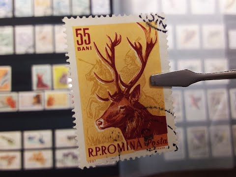 Видео: Коллекция почтовых марок - Альбом марки фауна Венгрия и Румыния - fauna stamps collection