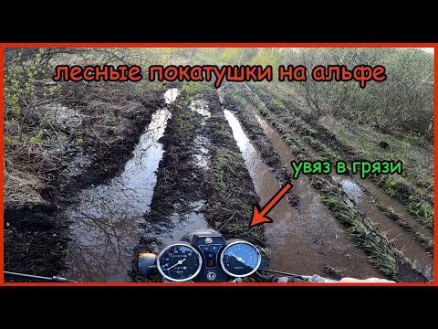 Видео: Катаю на альфе по лесному бездорожью