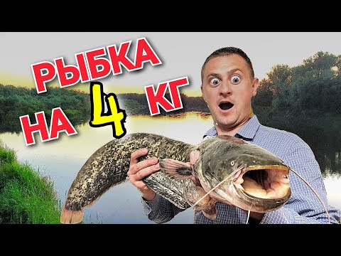 Видео: УДАЧНАЯ РЫБАЛКА! ПОЙМАЛ БОЛЬШУЮ РЫБУ! РЫБА МОЕЙ МЕЧТЫ,!