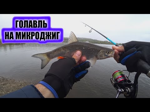 Видео: Голавль на микроджиг