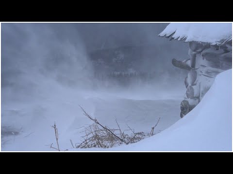 Видео: Лучшие звуки ледяной метели для сна┇Воющий ветер и громкий снег┇Ветреная ночь