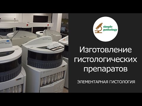 Видео: Как делают гистологические препараты | Элементарная гистология