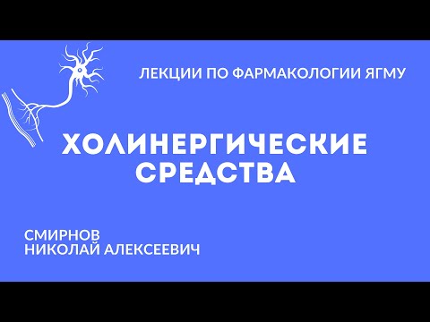 Видео: Холинергические средства | Медиаторная фармакология