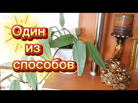 Видео: 👉 Как не потеряться в тревоге