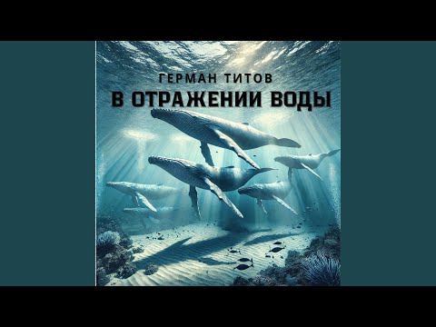 Видео: В отражении воды