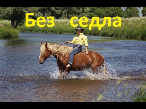 Видео: Полезна или вредна езда без седла.