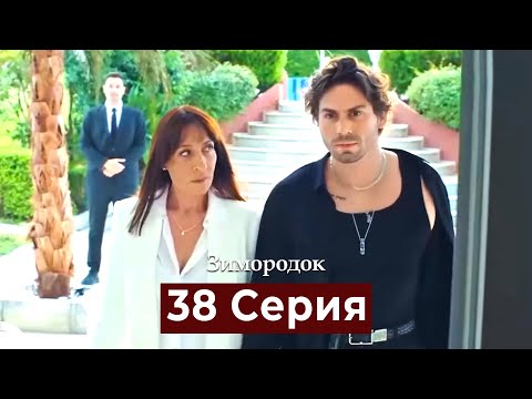 Видео: Зимородок 38 Cерия (Русский дубляж)