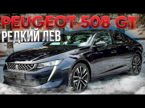 Видео: Редкий Лев. Заказной Peugeot 508 GT 38т.км. Псков.