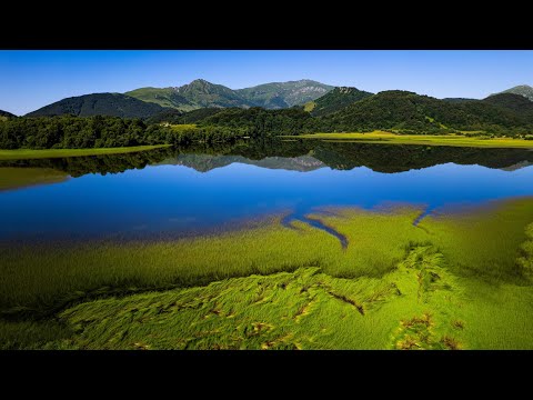 Видео: 📍Озеро Ерцо, Южная Осетия