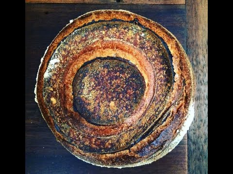 Видео: Приказки за деца - Медената пита