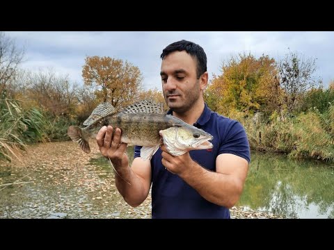 Видео: Специалист по ловли судака.Супер снасть в деле.Смотрите до конца.Не ожидали такого😲😰