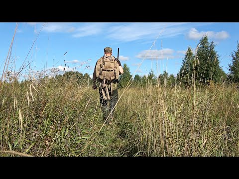 Видео: С выстрела оставил всю стаю. Охота на утку с подхода. Охота в Республике Коми.