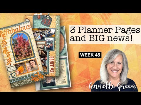 Видео: 3 страницы планировщика и важные новости!