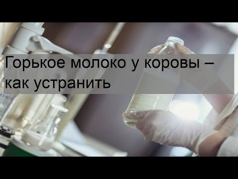 Видео: Горькое молоко у коровы – как устранить