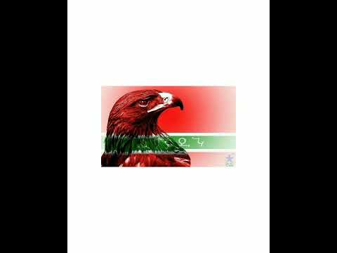 Видео: гр Къайи-булах 1996г    Арзу