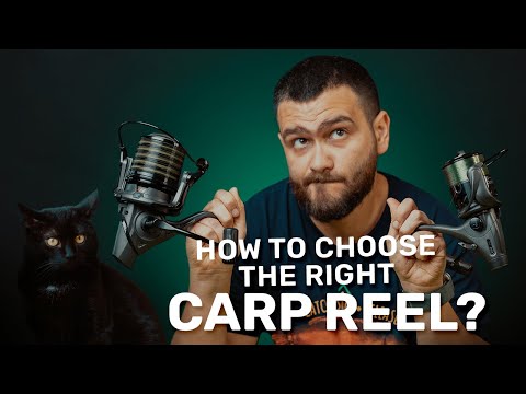 Видео: Как да ИЗБЕРЕМ правилната ШАРАНДЖИЙСКА МАКАРА?? /// How to CHOOSE the right CARP FISHING REEL??