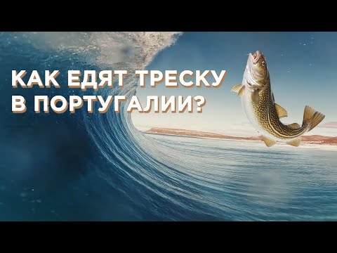 Видео: Португалия. 10 Мест для Посещения.