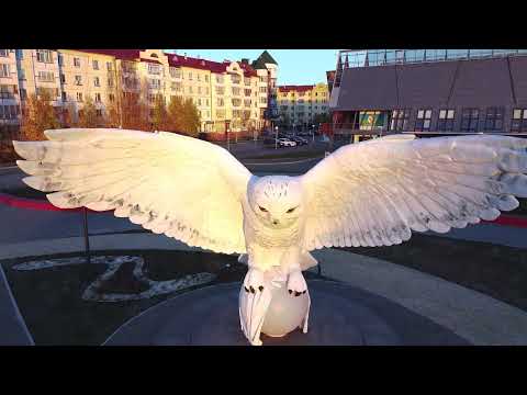 Видео: г. Белоярский, Белоярский район, ХМАО-Югра, 2022