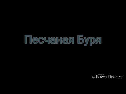 Видео: Коты-Воители в реальности (часть 1)