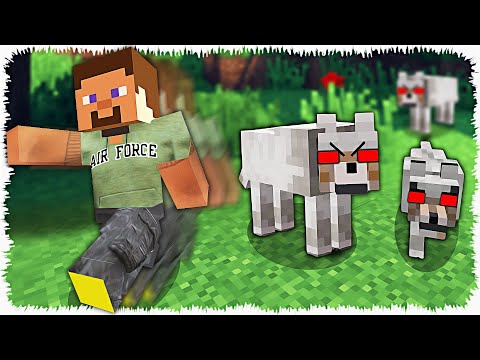 Видео: Қабаған иттерден қаштым