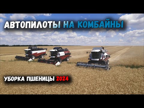 Видео: УБОРКА ОЗИМОЙ ПШЕНИЦЫ 2024. АВТОПИЛОТЫ НА ВСЕ КОМБАЙНЫ