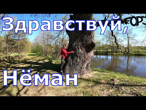 Видео: Весенний маршрут.Там, где малолюдно, душевно и клево. Здравствуй, Неман!
