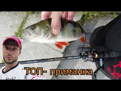 Видео: ТОП-приманка ИСТРЕБЛЯЕТ ОКУНЯ. Окунь летом